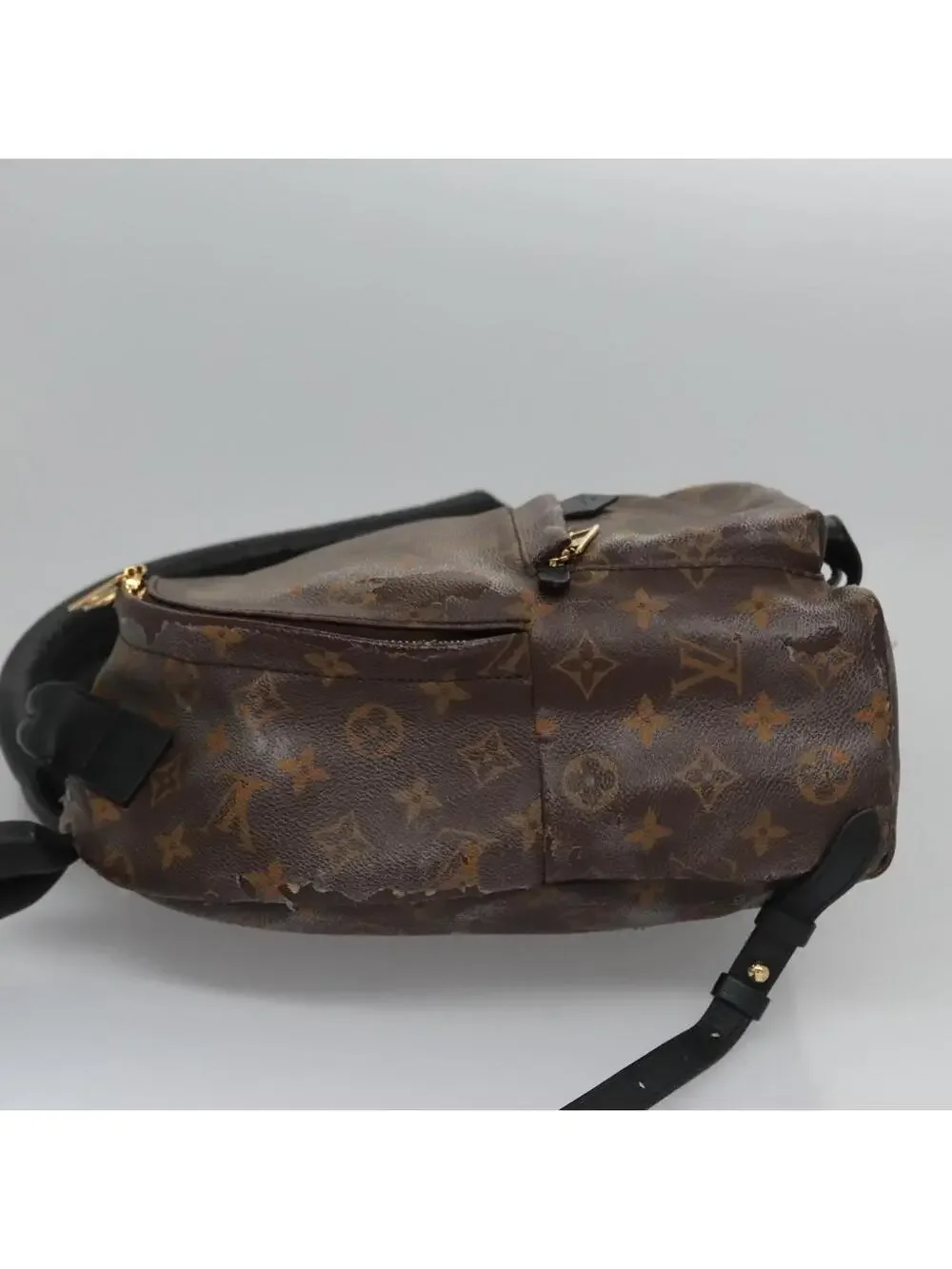 Louis Vuitton Palm Springs Pm Backpack #344185L52B